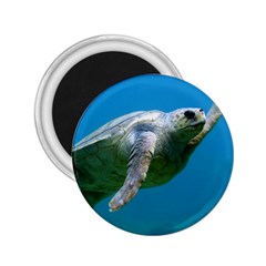 Sea Turtle 2 2 25  Magnets by trendistuff