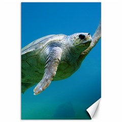 Sea Turtle 2 Canvas 12  X 18   by trendistuff