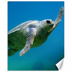 Sea Turtle 2 Canvas 16  X 20   by trendistuff