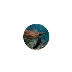 Sea Turtle 3 1  Mini Buttons by trendistuff