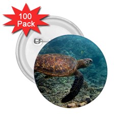 Sea Turtle 3 2 25  Buttons (100 Pack)  by trendistuff