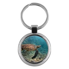 Sea Turtle 3 Key Chains (round)  by trendistuff