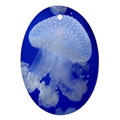 Spotted Jellyfish Ornament (oval) by trendistuff