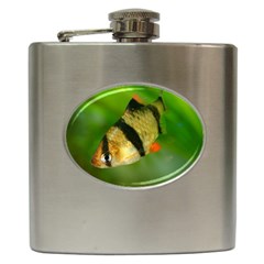 Tiger Barb Hip Flask (6 Oz) by trendistuff