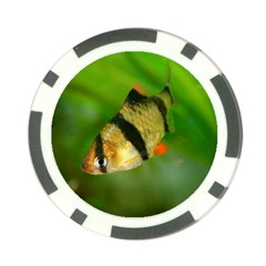 Tiger Barb Poker Chip Card Guard