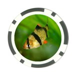 TIGER BARB Poker Chip Card Guard Back