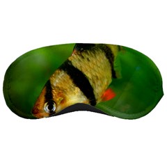 Tiger Barb Sleeping Masks by trendistuff