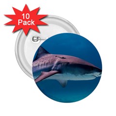 Tiger Shark 1 2 25  Buttons (10 Pack)  by trendistuff