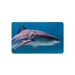 Tiger Shark 1 Magnet (name Card) by trendistuff