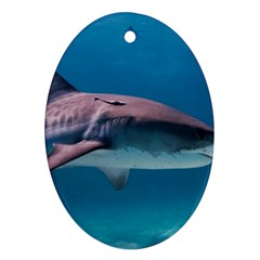 Tiger Shark 1 Oval Ornament (two Sides) by trendistuff