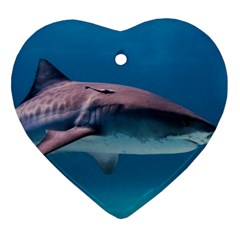 Tiger Shark 1 Heart Ornament (two Sides) by trendistuff