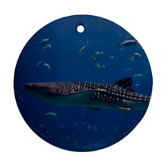 Whale Shark 1 Round Ornament (two Sides)