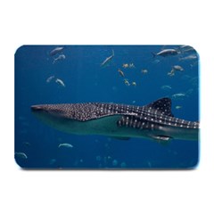 Whale Shark 1 Plate Mats by trendistuff