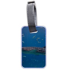 Whale Shark 1 Luggage Tags (two Sides) by trendistuff