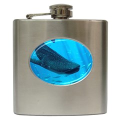 Whale Shark 2 Hip Flask (6 Oz) by trendistuff