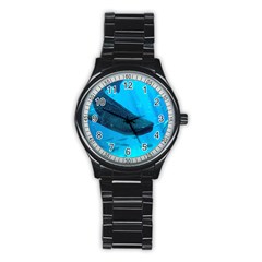 Whale Shark 2 Stainless Steel Round Watch by trendistuff