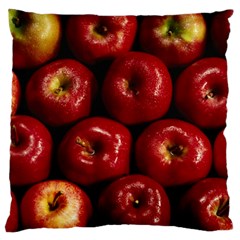 Apples 2 Standard Flano Cushion Case (two Sides) by trendistuff