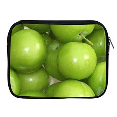 Apples 4 Apple Ipad 2/3/4 Zipper Cases by trendistuff