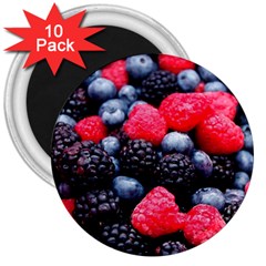 Berries 2 3  Magnets (10 Pack)  by trendistuff