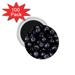 Blueberries 1 1 75  Magnets (100 Pack)  by trendistuff