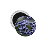 BLUEBERRIES 2 1.75  Magnets Front