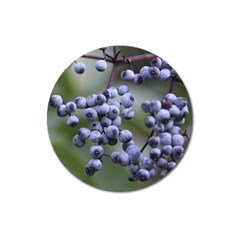 Blueberries 2 Magnet 3  (round) by trendistuff