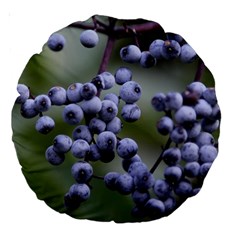 Blueberries 2 Large 18  Premium Round Cushions by trendistuff