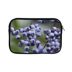 Blueberries 2 Apple Ipad Mini Zipper Cases by trendistuff