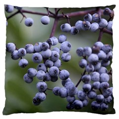 Blueberries 2 Large Flano Cushion Case (one Side) by trendistuff