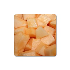 CANTALOUPE Square Magnet