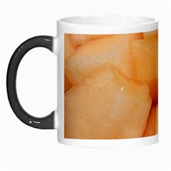 CANTALOUPE Morph Mugs