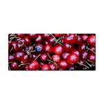 CHERRIES 1 Cosmetic Storage Cases Front