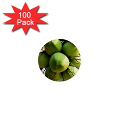 Coconuts 1 1  Mini Buttons (100 Pack) 