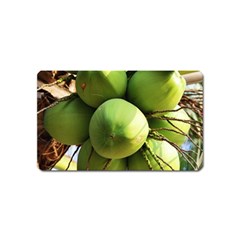 Coconuts 1 Magnet (name Card) by trendistuff