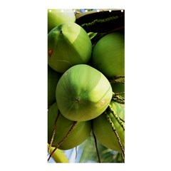 Coconuts 1 Shower Curtain 36  X 72  (stall)  by trendistuff