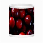 CRANBERRIES 1 Morph Mugs Center