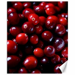 Cranberries 1 Canvas 8  X 10  by trendistuff