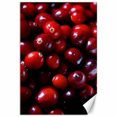 Cranberries 1 Canvas 12  X 18   by trendistuff