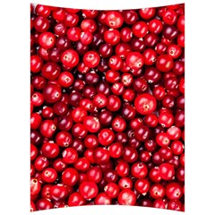 Cranberries 2 Back Support Cushion by trendistuff