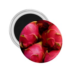 DRAGONFRUIT 2.25  Magnets