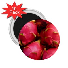 DRAGONFRUIT 2.25  Magnets (10 pack) 