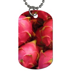 DRAGONFRUIT Dog Tag (One Side)