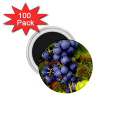 Grapes 1 1 75  Magnets (100 Pack) 