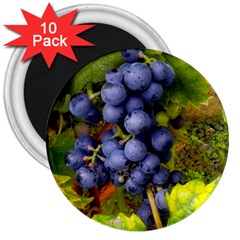 Grapes 1 3  Magnets (10 Pack)  by trendistuff