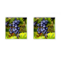 Grapes 1 Cufflinks (square) by trendistuff