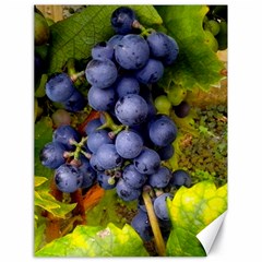 Grapes 1 Canvas 18  X 24   by trendistuff