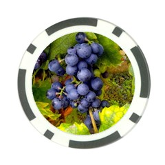 Grapes 1 Poker Chip Card Guard by trendistuff