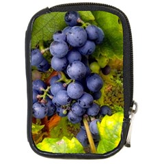 Grapes 1 Compact Camera Cases by trendistuff