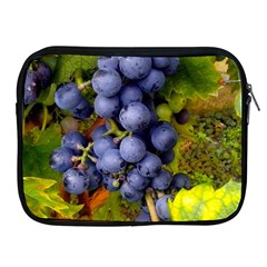 Grapes 1 Apple Ipad 2/3/4 Zipper Cases by trendistuff