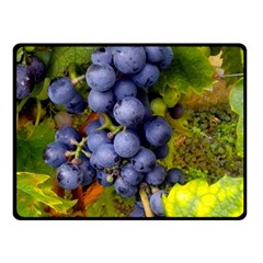 Grapes 1 Double Sided Fleece Blanket (small)  by trendistuff